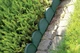 Бордюр садовий Prosperplast Garden Line 10 м Зелений (5905197640402) - зображення 2