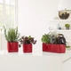 Вазон Lechuza Cube Glossy 16 красный 2 л - изображение 2