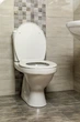Сиденье-крышка для унитаза KOLLER POOL Orion Eurostandard C9 Soft Close дюропласт - изображение 7