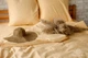 Постельное белье Бязь Голд Люкс, Vital Textile полуторный 150х220см (BL-6) ванильный - изображение 2