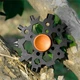 Мультифункциональная отвертка Werk 23в1 MFS-231W (BP121675) - изображение 2