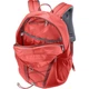 Рюкзак Deuter Gogo 25 currant-redwood (3813221 5588) - изображение 2