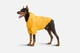 Дождевик с капюшоном для собак Noblepet Moss Yellow, одежда для собак унисекс, L-Short (M4106/L-Short) - изображение 8