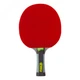 Ракетка для настольного тенниса Giant Dragon SUPERSPIN G4" ST12601P40+ 6* (00045872) - изображение 3