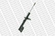 Амортизатор MONROE G7373 Dacia Duster; Renault Duster 543025648R - зображення 1