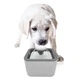 Поилка-фонтан для животных Pet Water Fountain автоматическая USB White (3_03717) - изображение 2