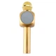 Беспроводной караоке микрофон Wster WS-1816 Gold (2_006557) - изображение 2
