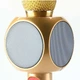 Беспроводной караоке микрофон Wster WS-1816 Gold (2_006557) - изображение 4