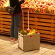 Складаний переносний візок для продуктів Xiaomi MAIWEI Trolley Case Gray Large 35 л (Ф28187) - зображення 6