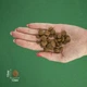 Сухий корм для дорослих стерилізованих кішок BRAVERY Herring Adult Cat Sterilized з оселедцем 7 кг (8436538950708) - зображення 7
