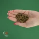 Сухой корм BRAVERY Herring Mini Adult для взрослых собак мелких пород с сельдью 2 кг (8436538950647) - изображение 5