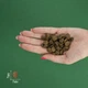 Сухий корм BRAVERY Salmon Mini Adult для дорослих собак дрібних порід з лососем 2 кг (8436538946732) - зображення 5
