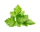 Сменный картридж Click and Grow Кориандр 8417 (3 капсулы) - изображение 2