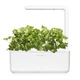 Сменный картридж Click and Grow Кориандр 8417 (3 капсулы) - изображение 5
