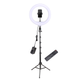Тримач з кільцевим освітленням Bluetooth 12 " YQ-320A light set (Kit2) |170cm Stand, Plug Powered, 3000-6500K| - изображение 7