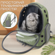 Рюкзак Для Кота с Прозрачными Стенками 42*34*27 см Переноска Для Путешествий с Животными MoorPet До 7 кг Зеленая - изображение 4