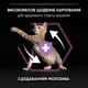 Сухий корм для кошенят Pro Plan Kitten Healthy Start 400 г - курка - изображение 5