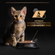 Вологий корм для кошенят Pro Plan Kitten Healthy Start 85 г - індичка - изображение 7