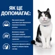 Сухий корм для котів Hill's Prescription Diet Digestive Care i/d 3 кг - курка - изображение 4