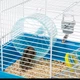 Клітка для гризунів Ferplast Paula 46 x 29,5 x 24,5 см - изображение 4