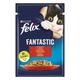 Влажный корм Purina Felix для кошек, говядина с птицей в желе 85 г - изображение 1