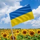 Флаг Украины 0,9*1,4 м - изображение 2