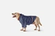 Дождевик с капюшоном для собак Noblepet Moss Blue, одежда для собак унисекс, 3XL (M4106/3XL-Blue) - изображение 1