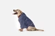 Дождевик с капюшоном для собак Noblepet Moss Blue, одежда для собак унисекс, 3XL (M4106/3XL-Blue) - изображение 2