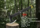 Топор Firebird FSA02-YE - изображение 13