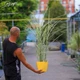 Мискантус китайский 'Variegatus'. Контейнер 3л - изображение 2