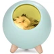 Настільний світильник Led Cat House Котячий будинок Нічник Сплячий котик у будиночку Зелений - зображення 2