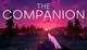 Игра The Companion для ПК (Ключ активации Steam) - изображение 1