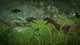 Игра Jurassic World Evolution для Xbox One/Series - Europe (Ключ активации) - изображение 3