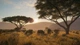 Игра TheHunter: Call of the Wild 2019 Edition - Europe для ПК (Ключ активации Steam) - изображение 3