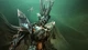 Дополнение Destiny 2: The Witch Queen для Xbox One/Series - Europe (Ключ активации) - изображение 3