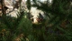 Игра The Land of Pain для ПК (Ключ активации Steam) - изображение 4