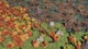 Игра For The King II для ПК (Ключ активации Steam) - изображение 5