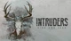 Гра Intruders Hide and Seek для ПК (Ключ активації Steam) - зображення 1