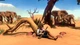 Игра Jack keane 2: The Fire Within для ПК (Ключ активации Steam) - изображение 5