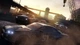 Гра The Crew для Xbox One/Series - Europe (Ключ активації) - зображення 3