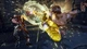 Доповнення Tekken 7 Season Pass 2 для Xbox One/Series (Ключ активації) - зображення 4