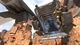 Дополнение Apex Legends: Lifeline для Xbox One/Series (Ключ активации) - изображение 3