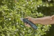 Sekator akumulatorowy Gardena AssistCut 25 mm (12222-20.000.00) - obraz 15