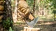 Туристична сокира з вуглецевої сталі з шкіряними ножнами Bush Axe BPS Knives - изображение 6