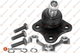 Шаровые опоры EUROREPAR 1634875880 Volkswagen Bora, Golf; Seat Toledo, Leon; Audi A3; Skoda Octavia 1J0407366, 1J0407366A, 1J0407366C - изображение 1