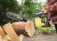 Пила цепная аккумуляторная Ryobi RY36CSX40B-160P - изображение 4