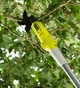 Сучкоріз-висотаріз Ryobi ONE+ RY18PLA-0 - зображення 4