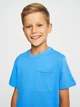Подростковая футболка для мальчика Coccodrillo Basic Boy ZC3143201BAB-014 152 см (5904986187197) - изображение 4
