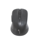 Миша комп'ютерна бездротова 4you M6 black (Тиха, 2.4 ГГц, 6 кн, 800-1600DPI, 12 місія гарантія) - зображення 1