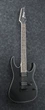 Електрогітара IBANEZ RG421EX BKF (220670) - изображение 2